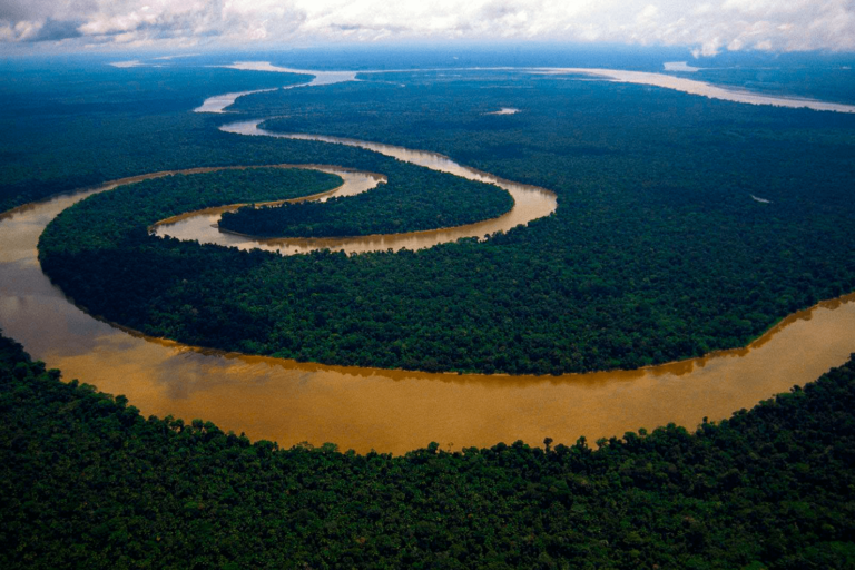 Coronavirus: Peru Detects Amazonas Variant Within its Territory