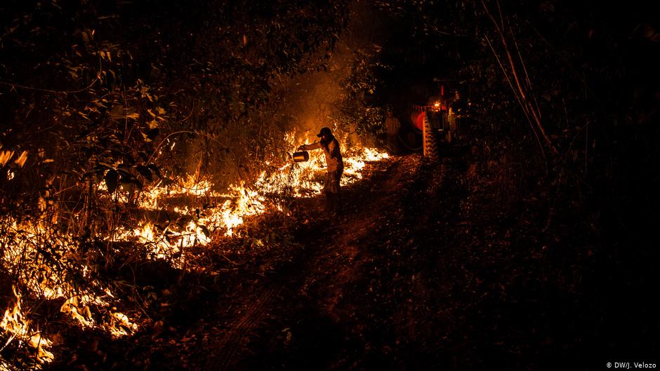 Brazil sees most June fires in Amazon rainforest since 2007