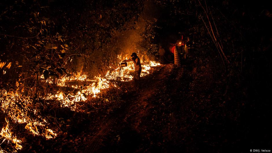 Amazyon fires
