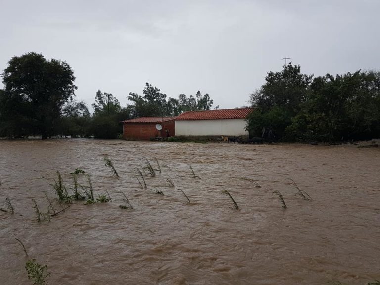 Heavy Rain Triggers Floods as Rivers Overflow in Bolivia