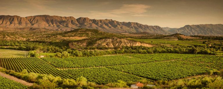 Why Bolivia should be your next wine destination