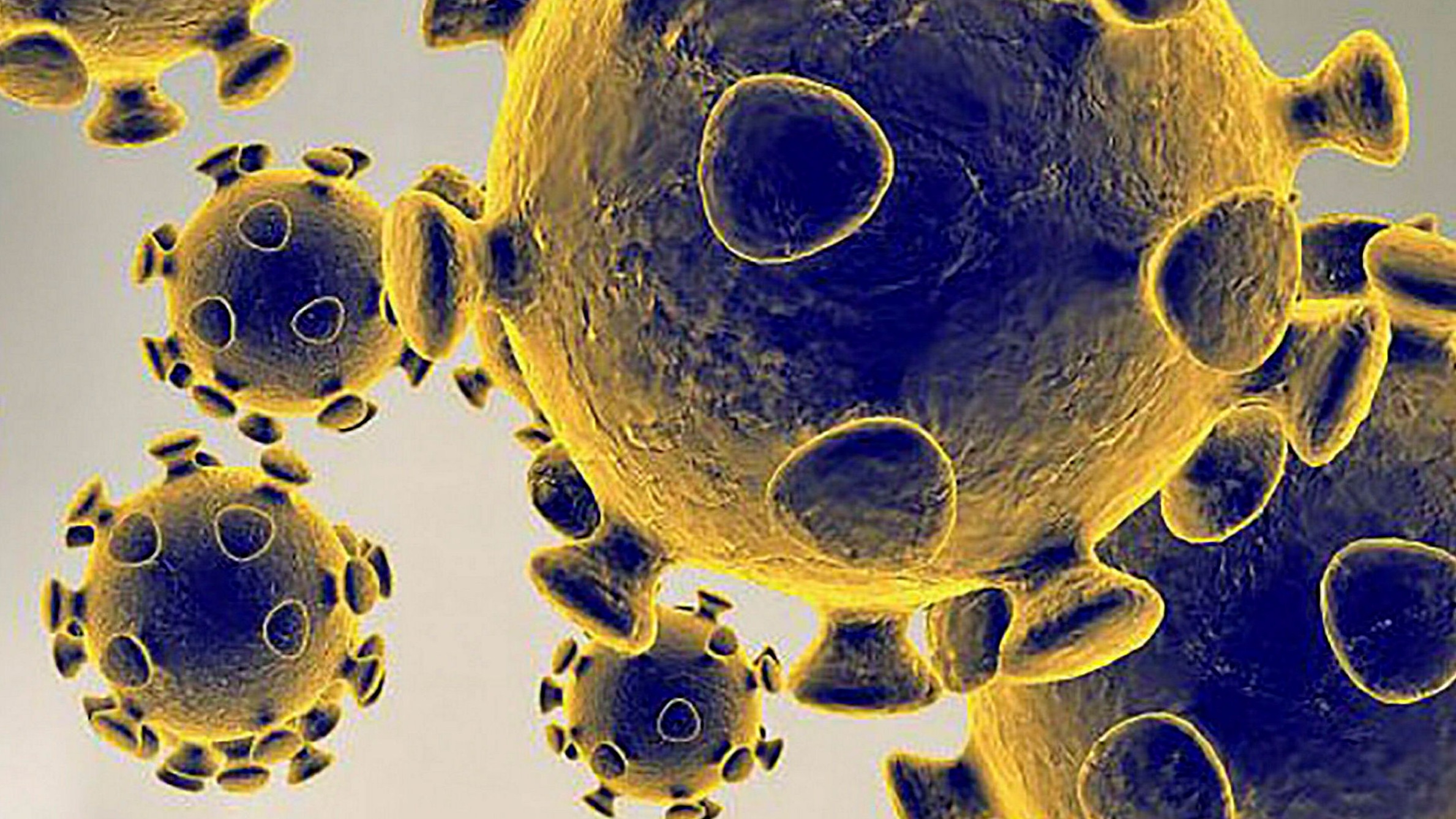 Peru's Ministry of Health on Friday confirmed the country's first case of the coronavirus variant first identified in the United Kingdom.