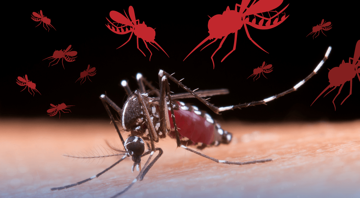 While the world is grappling with the third wave of the COVID-19 pandemic, Peru is still dealing with an epidemic that it has not been able to control---the mosquito-borne viral disease known as dengue.