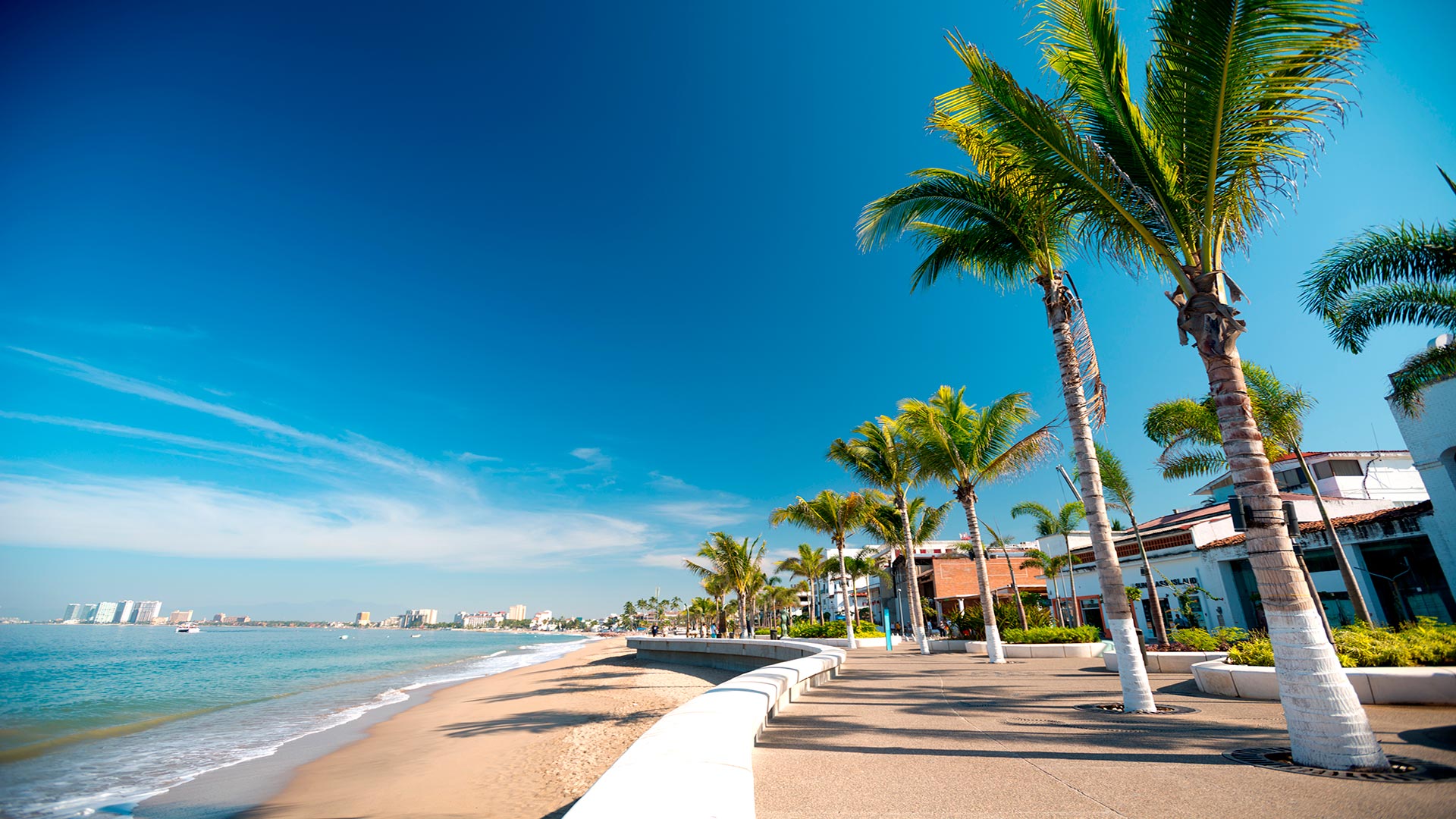 Puerto Vallarte, Mexico. (Photo internet reproduction)