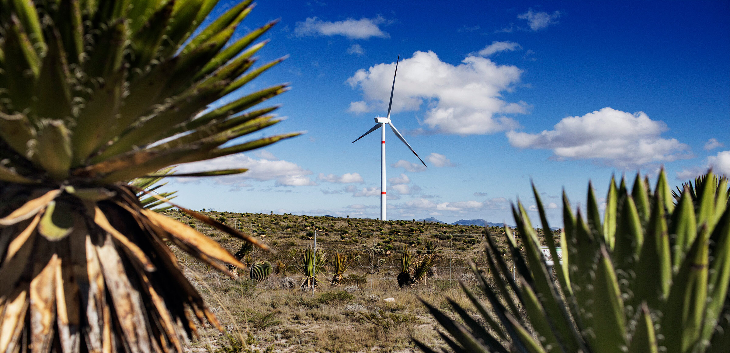 Mexico's renewable power capacity increased by 13.4% from 2019 through to the end of October