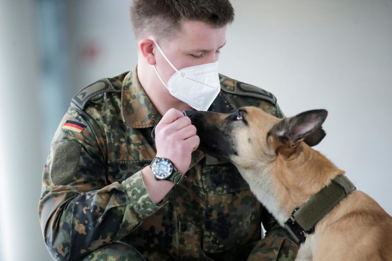 German Sniffer Dogs Detect COVID-19 with 94% Accuracy
