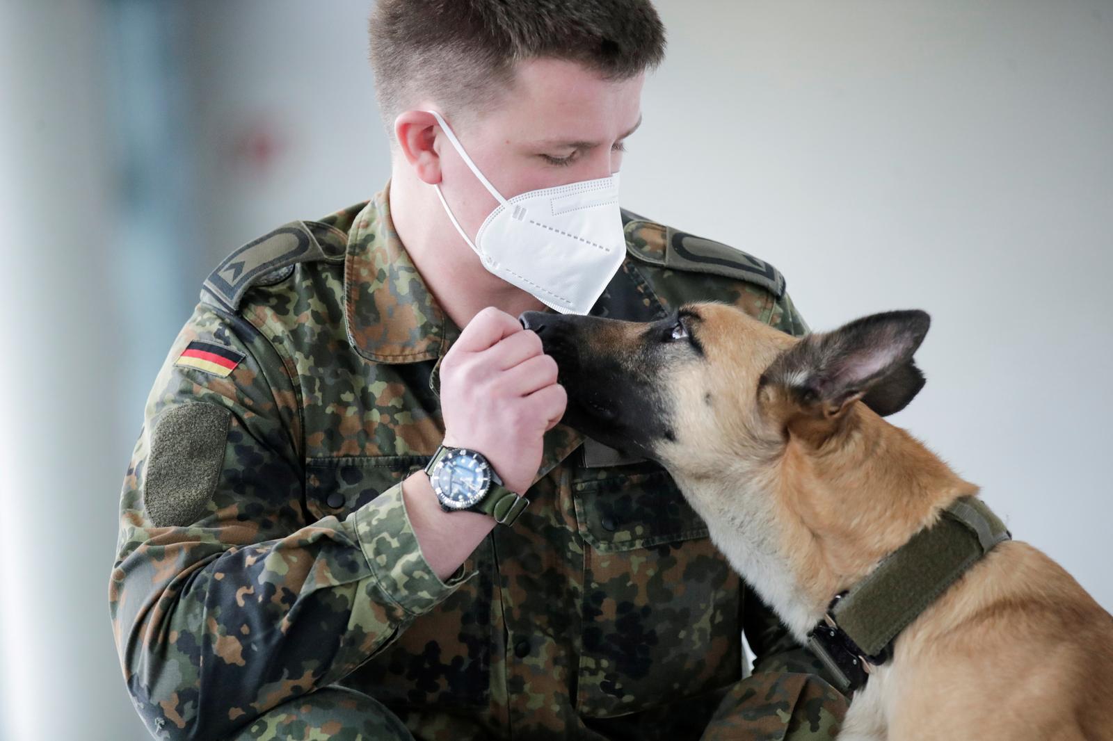 A German veterinary clinic has trained sniffer dogs to detect the novel coronavirus in human saliva samples with 94% accuracy.