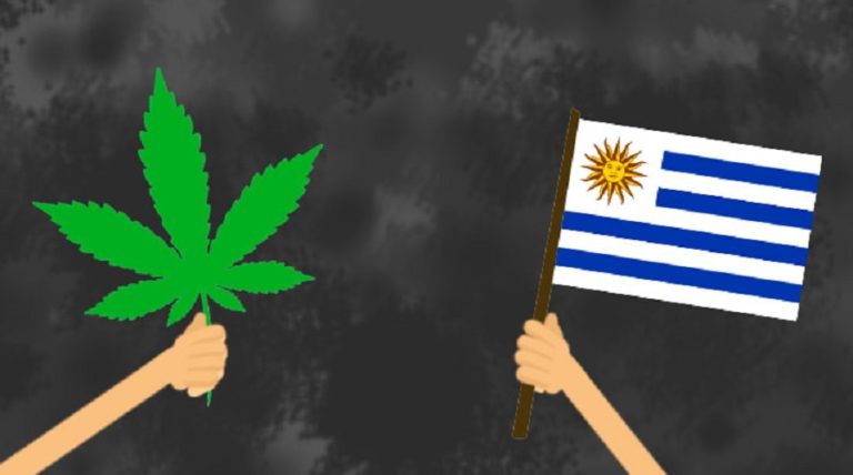 UN monitor concerned about increase in cannabis users in Uruguay