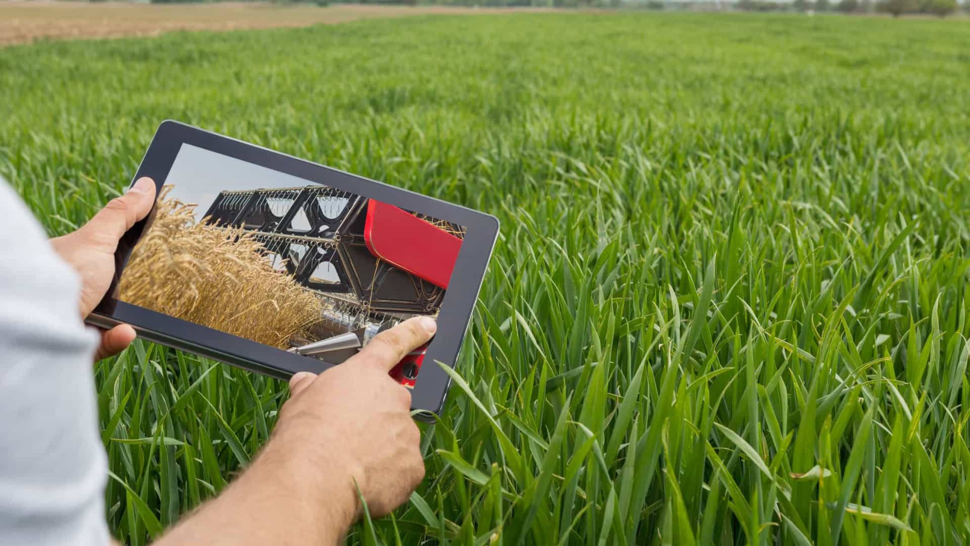Agro startup