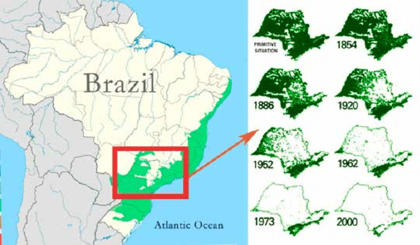 The fate of the Mata altantica in the state of São Paulo is emblematic of the entire atlantic forest.