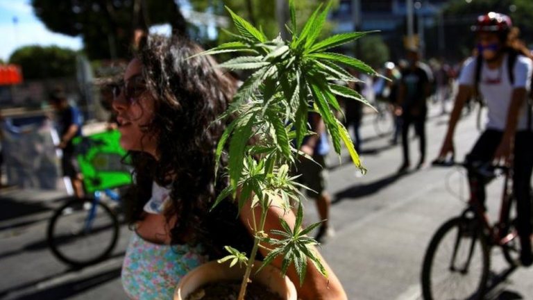 A guide to the legalization and regulation of recreational marijuana use in Mexico