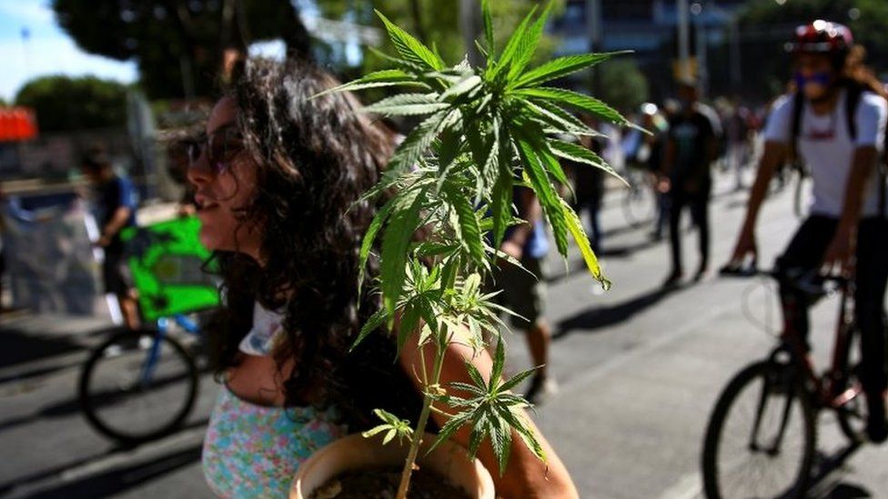Mexico is about to become the third country to approve the recreational use of marijuana