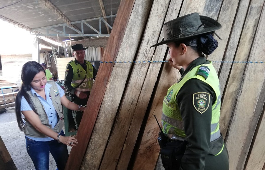 Over 40% of tropical timber exported by Colombia in the last decade was illegal