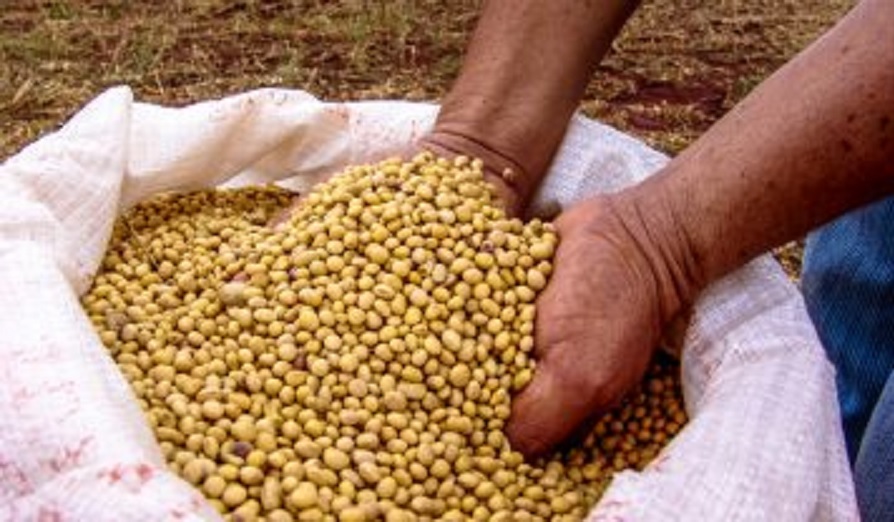 USDA raises estimates for Brazilian 2020/21 soybean harvest and export