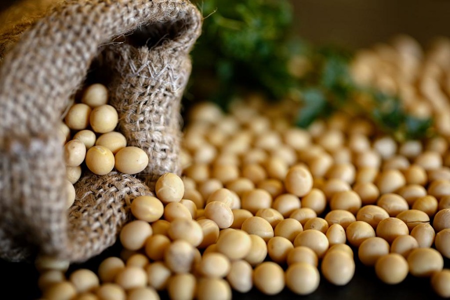 Foreign price drops and currency devaluation limit soybean business in Brazil