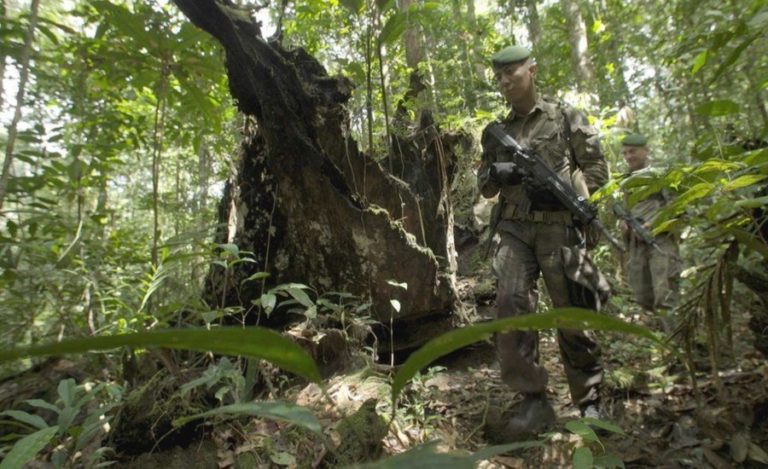 Military environmental operation should continue in the Brazilian Amazon