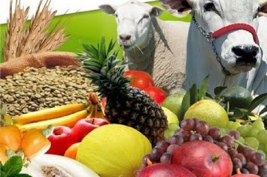 Brazilian agribusiness exports hit record US$11.57 billion in March