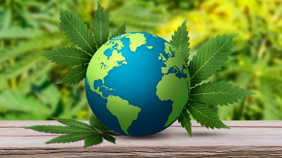 The tortuous path to legal marijuana in the Americas