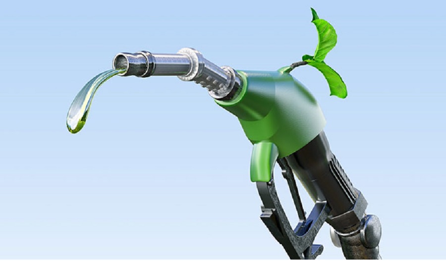 Brazilian government approves creation of sustainable and low carbon fuels program