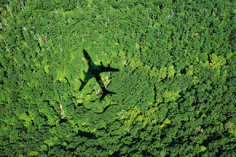 Gol airline vows to zero carbon emissions by 2050