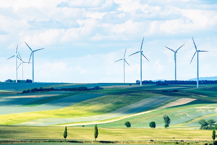 Wind energy fuels black market for balsawood in Ecuador