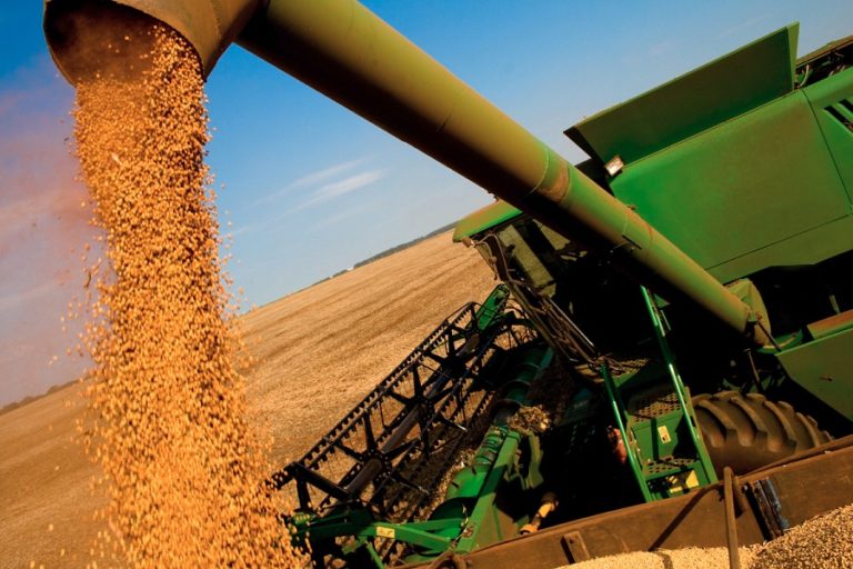 Weather contributes to historic soybean harvest in Brazil