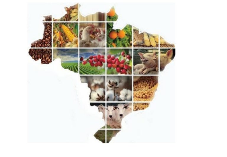 Prices of Brazil’s principal agricultural and livestock products rose in Q1