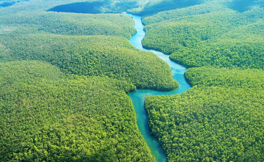 For vice-president Mourão, Brazil will only get money if it proves it has reduced deforestation