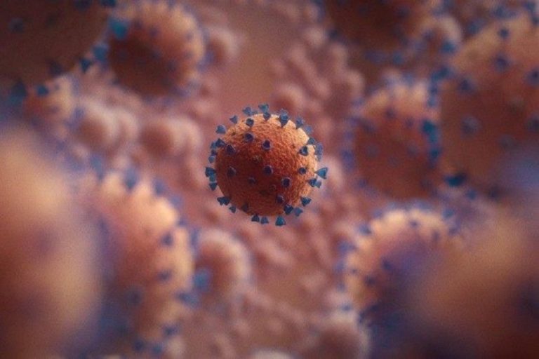 Potential new coronavirus variant found in Brazilian city, says UFMG study