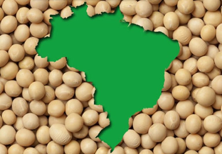 Soybeans: Paraná indicator reaches nominal record