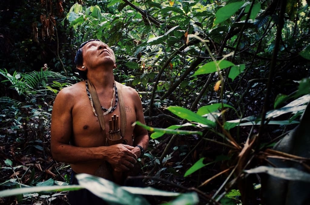 Amazon rainforest