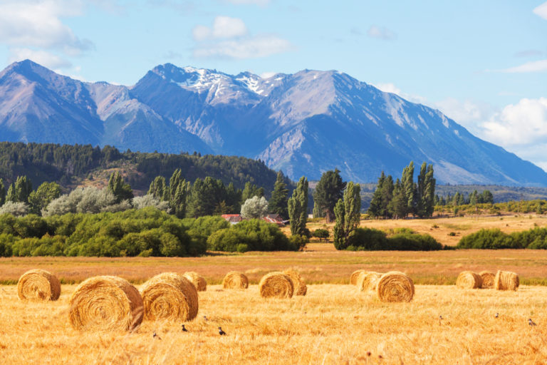 Argentina registered 25% fewer farms in 2018 than in 2002