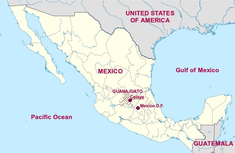 Mexico's Celaya is the most violent city in the world, according to report