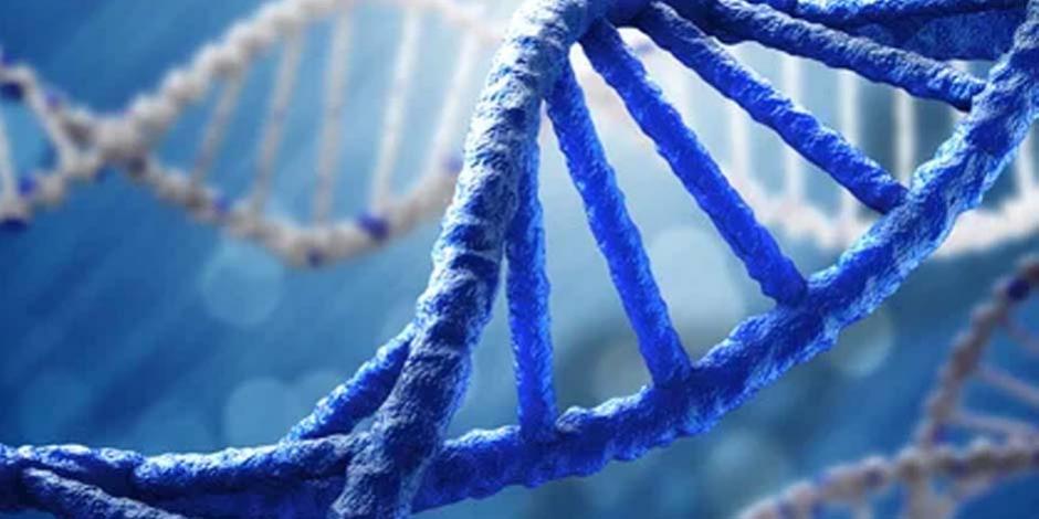 DNA