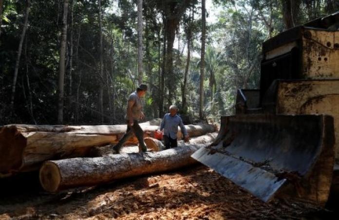 Lula affirms that Brazil will achieve the goal of ending deforestation by 2030. (Photo internet reproduction)