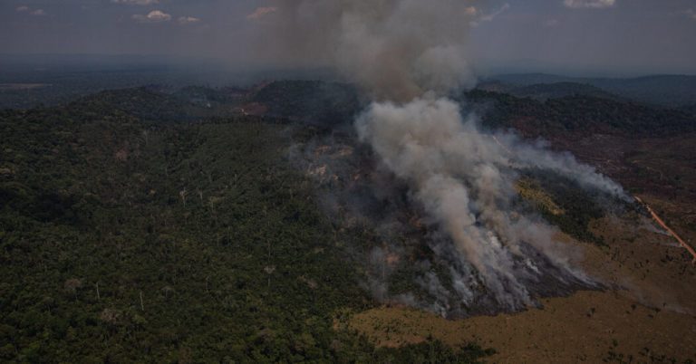 Amazon deforestation rose 17% in ‘dire’ 2020, data shows