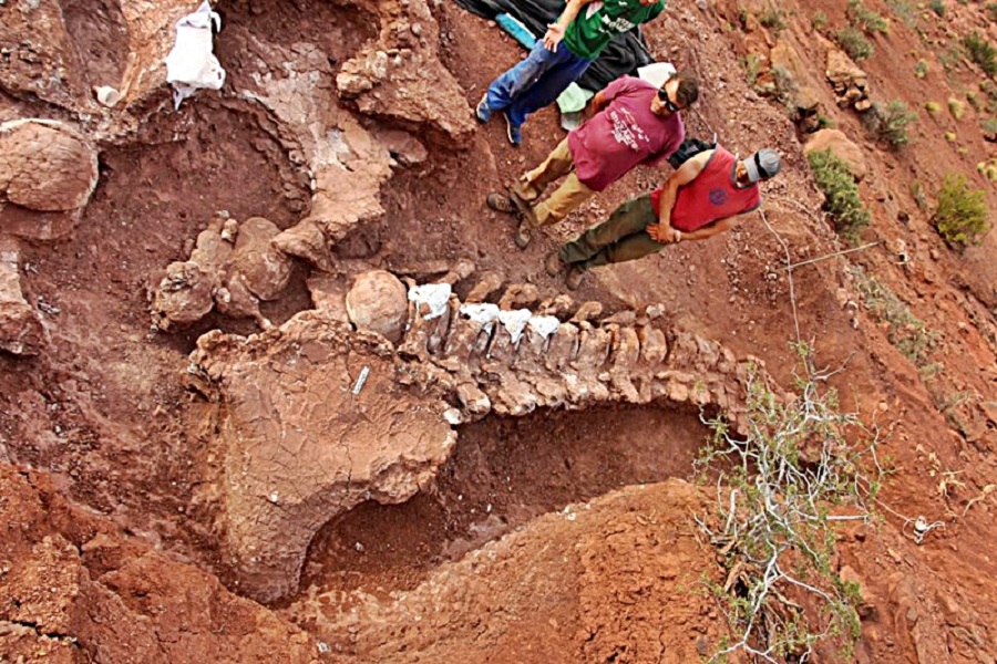 Fabulous dinosaur cemetery in Argentina