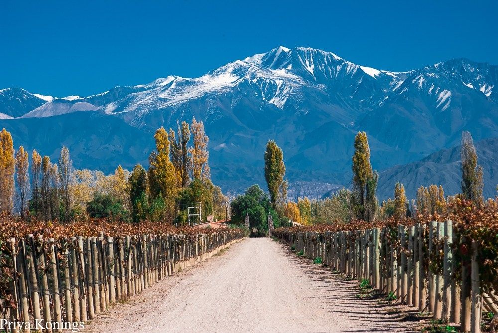 Mendoza province. (Photo internet reproduction)