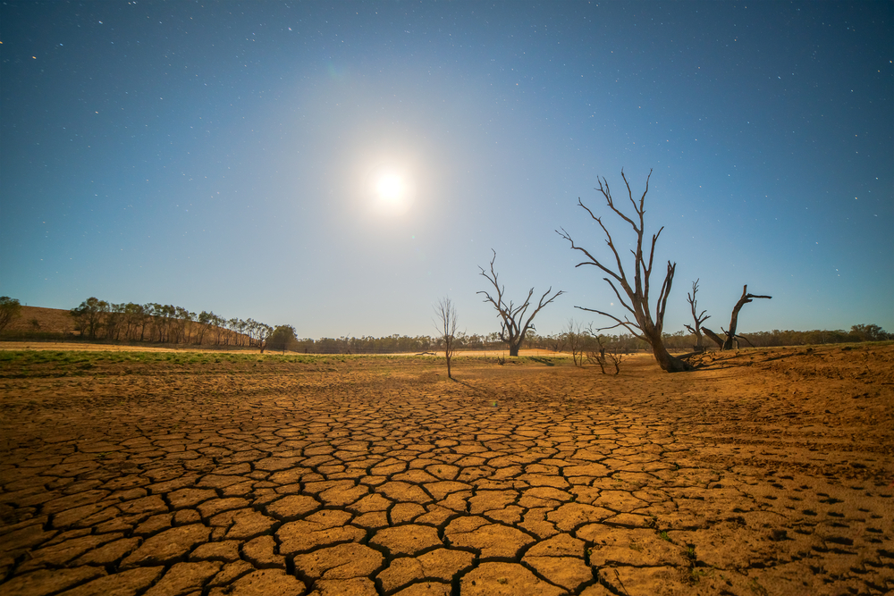 In certain regions of Brazil, it is raining less and less.