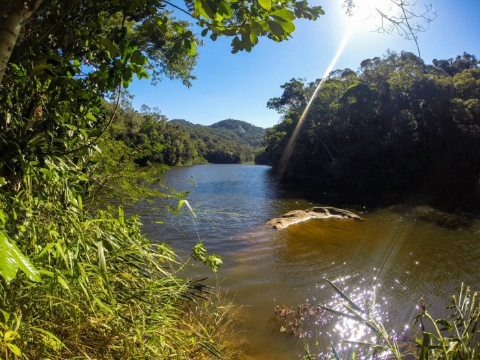 Reforestation project in Rio de Janeiro aims to restore Atlantic Rainforest