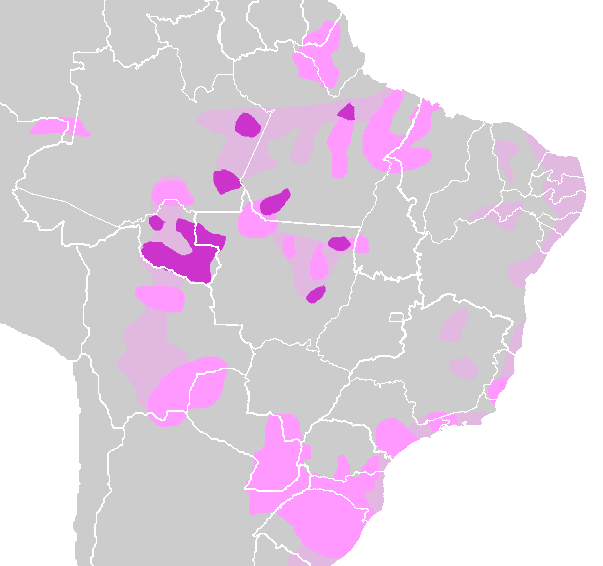 Settlement areas of the Tupi people