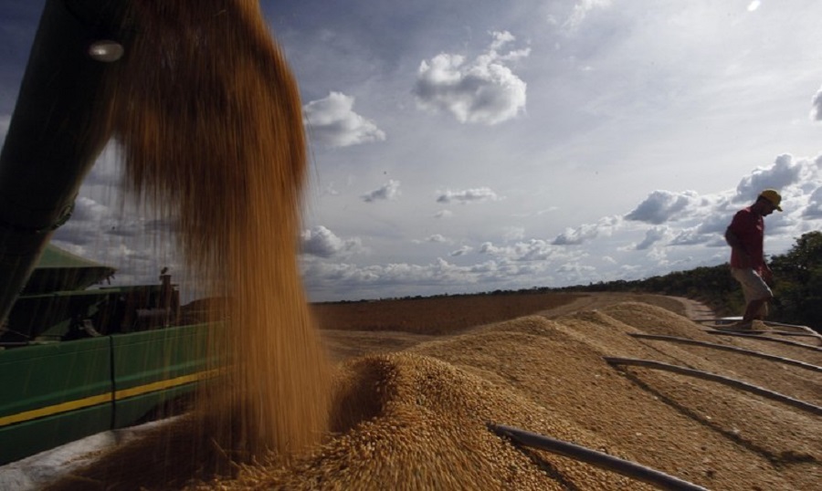 Soybeans: Brazil exporters await market before selling remaining 40/50 million tons