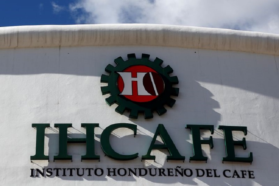 Honduras again cuts coffee shipment projection due to coffee leaf rust damage