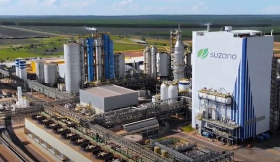 Brazil’s Suzano to invest nearly US$3 billion in new pulp mill in Mato Grosso do Sul