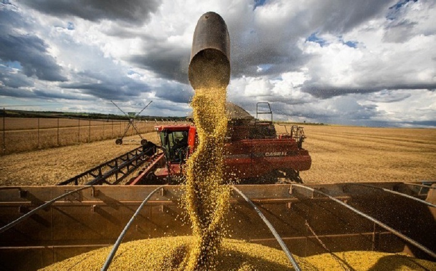 Sales of Brazil’s next soybean harvest reach 15.2% – DATAGRO