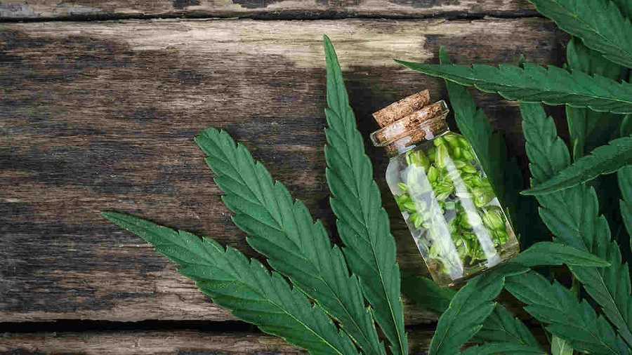 Why Paraguay may be key to the future of medical cannabis in Brazil