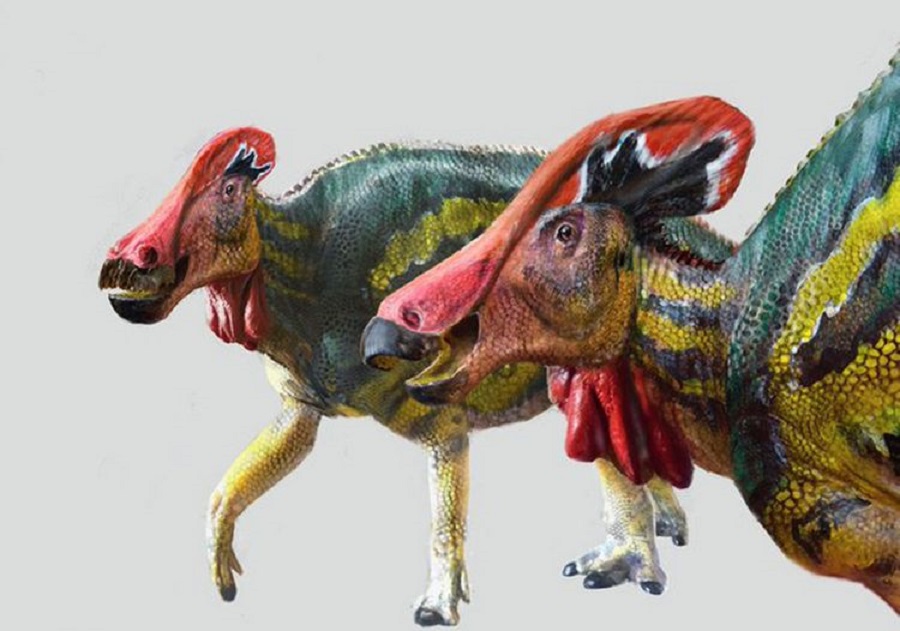 INAH and UNAM identify new dinosaur species in Coahuila, Mexico