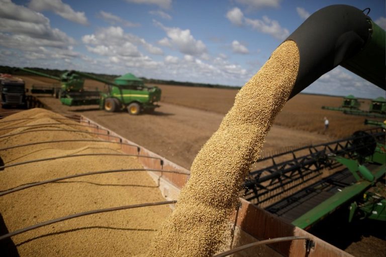 Brazil’s soybean export exceeds 800,000 daily tons through 3rd week of May
