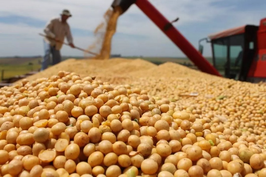 Driven by global demand, Brazil’s soybean exports should increase