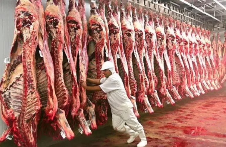 Argentina’s meat market will be strengthened by government action – Minerva Foods